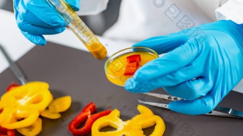 食品招商厂家资质查询，揭秘合规之路